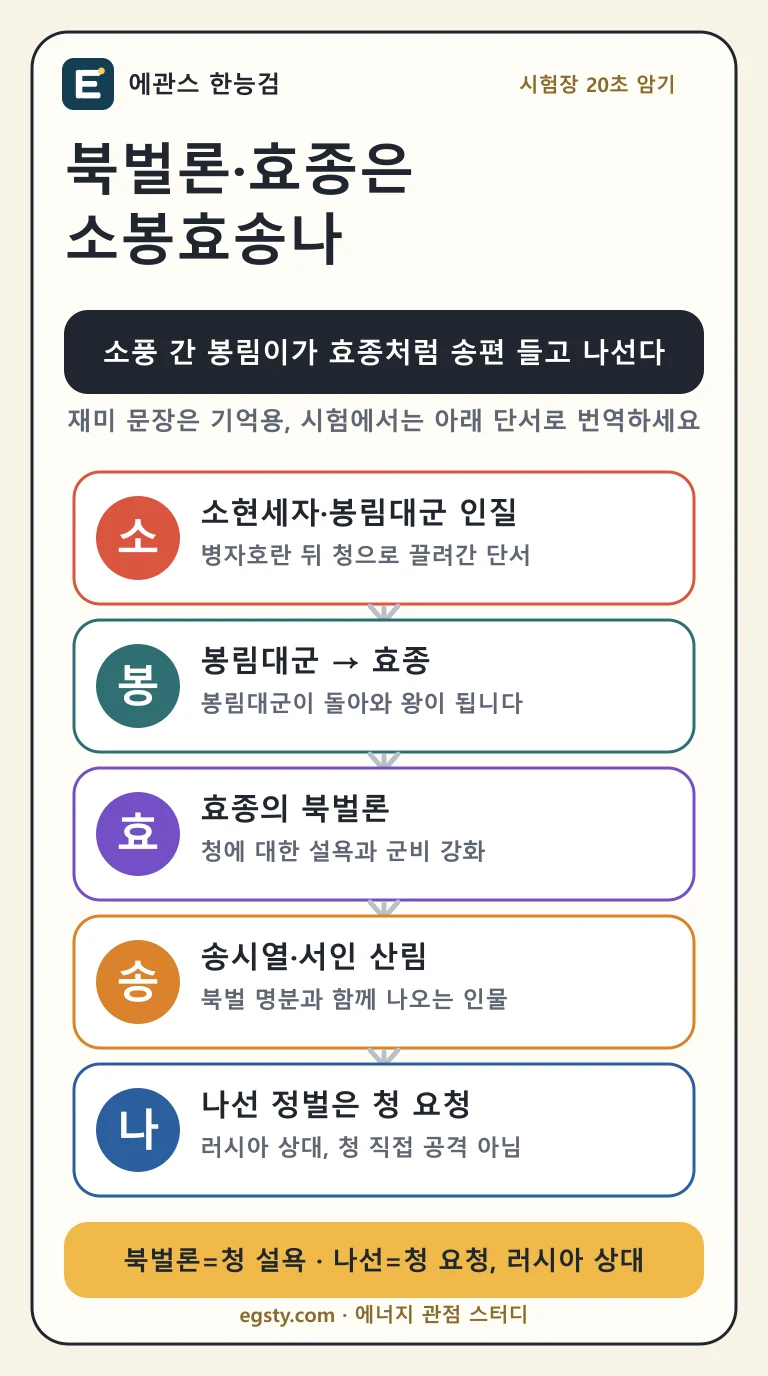 한능검 북벌론과 효종을 소현세자, 봉림대군, 효종, 송시열, 나선 정벌 단서로 정리한 인포그래픽