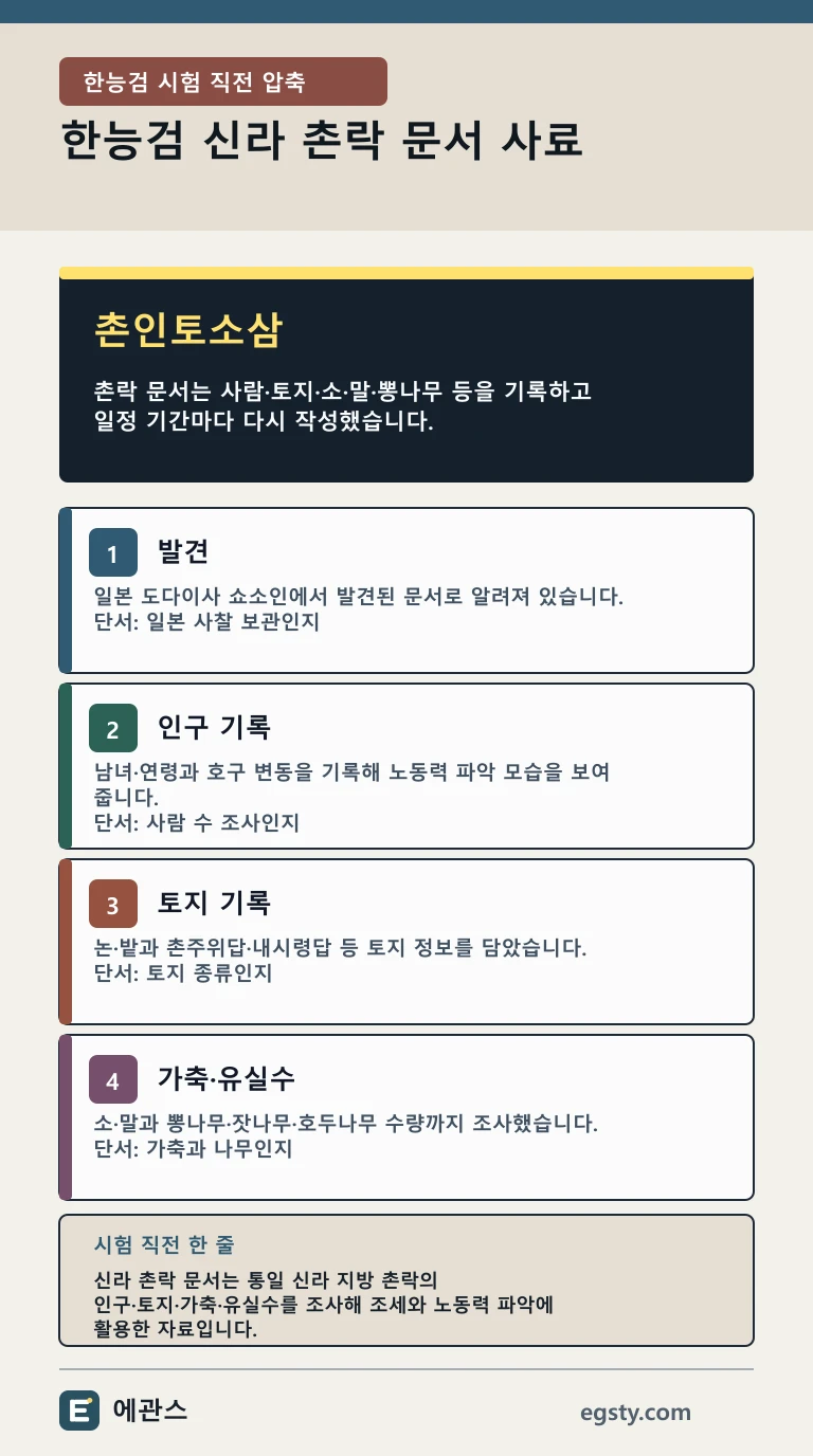 촌인토소삼과 발견 장소·인구·토지·가축과 수목 기록을 네 카드로 정리한 신라 촌락 문서 인포그래픽