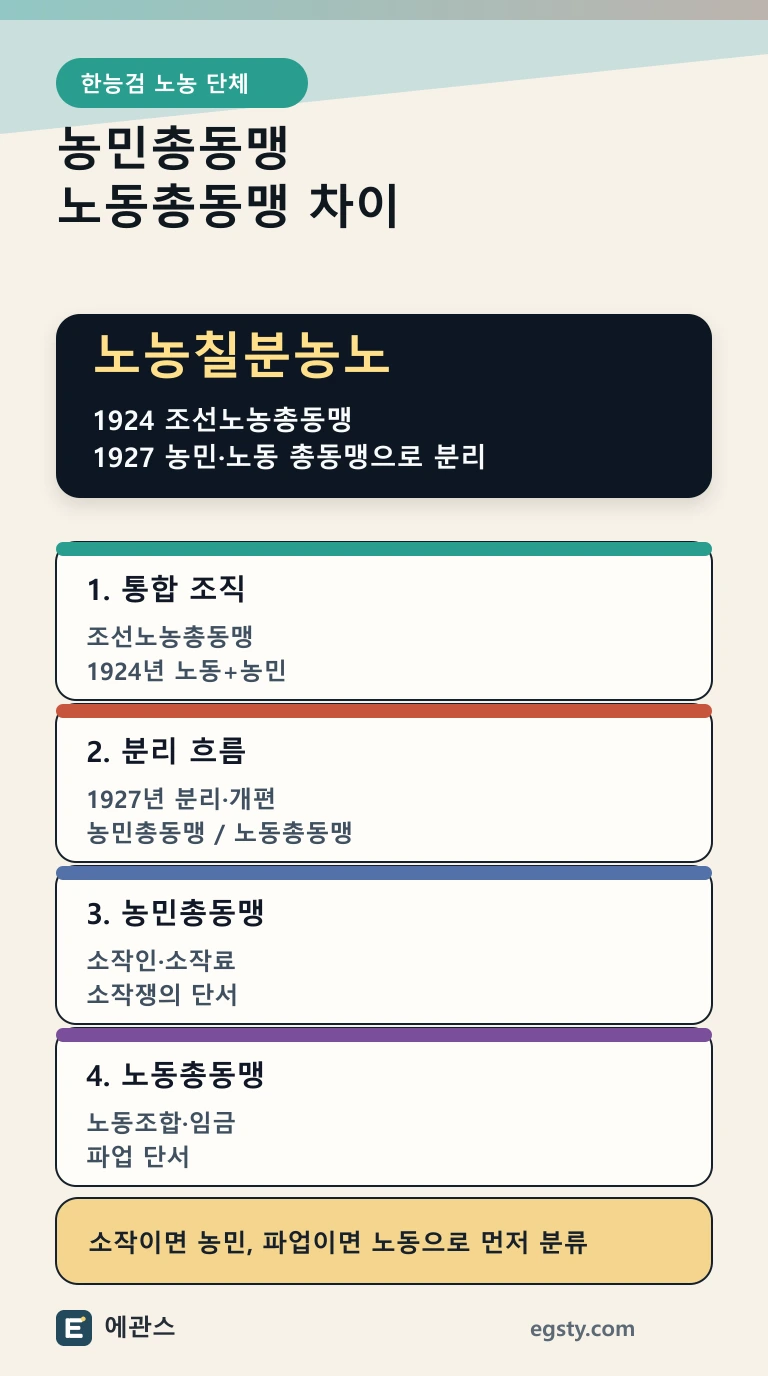 한능검 조선노농총동맹에서 조선농민총동맹과 조선노동총동맹으로 분리되는 흐름을 정리한 인포그래픽