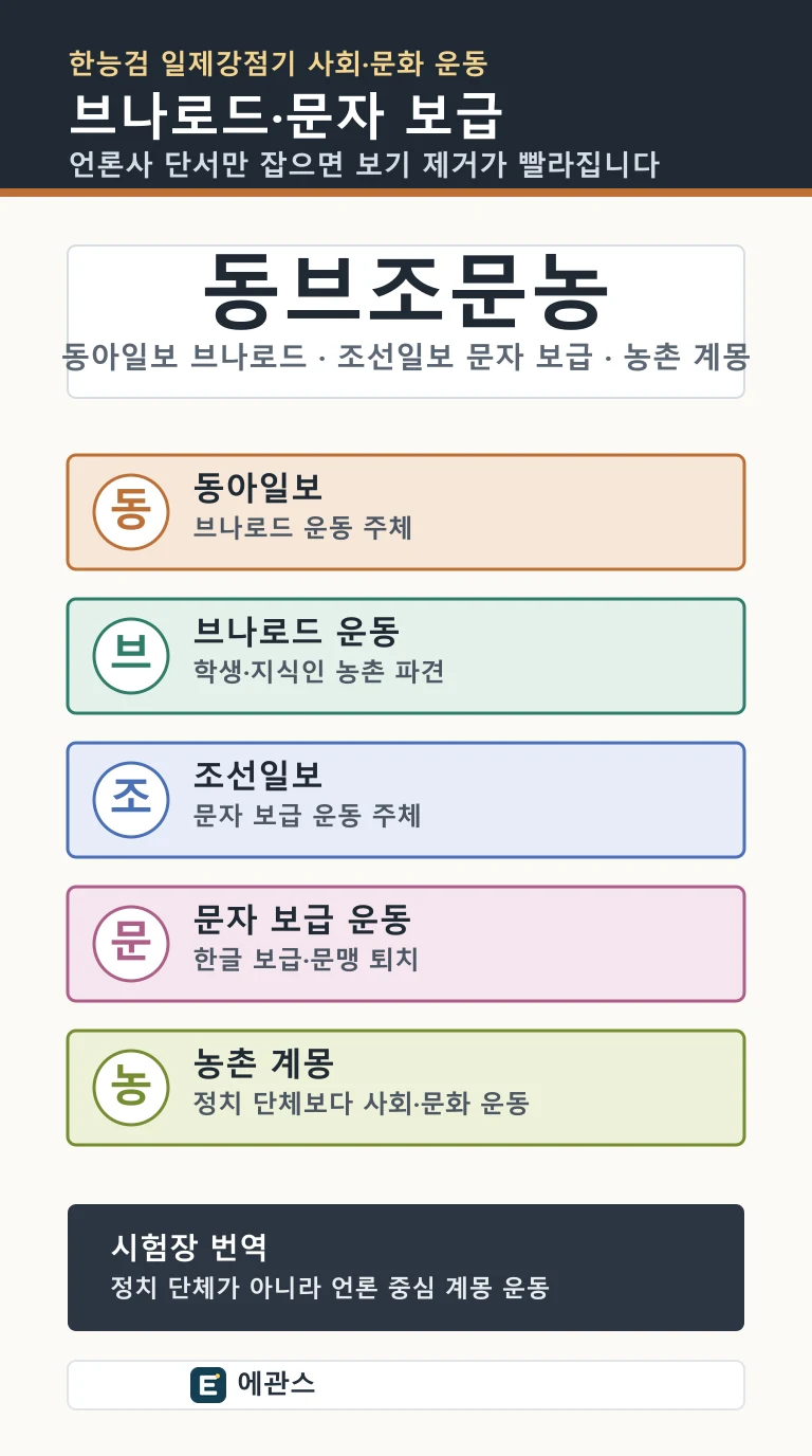 한능검 브나로드 운동과 문자 보급 운동을 동아일보, 조선일보, 농촌 계몽, 문맹 퇴치 단서로 정리한 인포그래픽