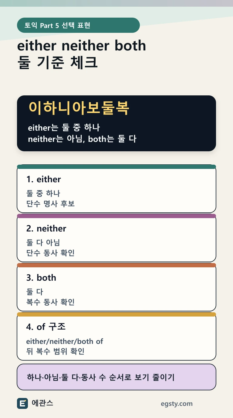 토익 either, neither, both를 둘 중 하나, 둘 다 아님, 둘 다와 동사 수 기준으로 구분하는 인포그래픽