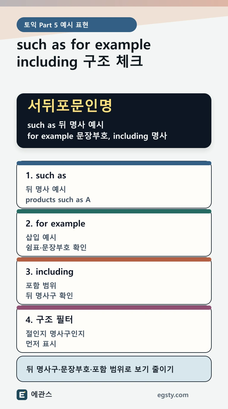 토익 such as, for example, including을 뒤 명사구, 문장부호, 삽입 위치 기준으로 구분하는 인포그래픽