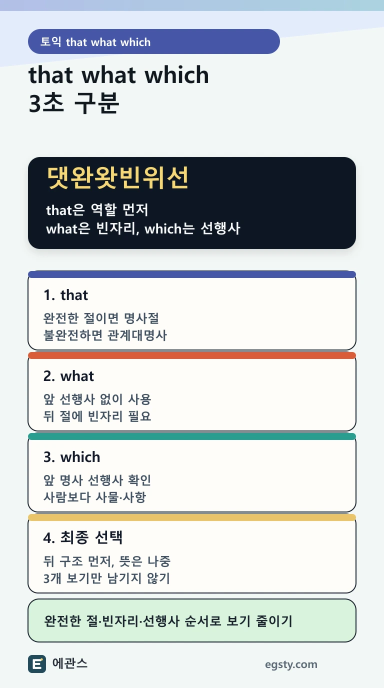 토익 that, what, which를 완전한 절, 빈자리, 선행사 기준으로 구분하는 인포그래픽